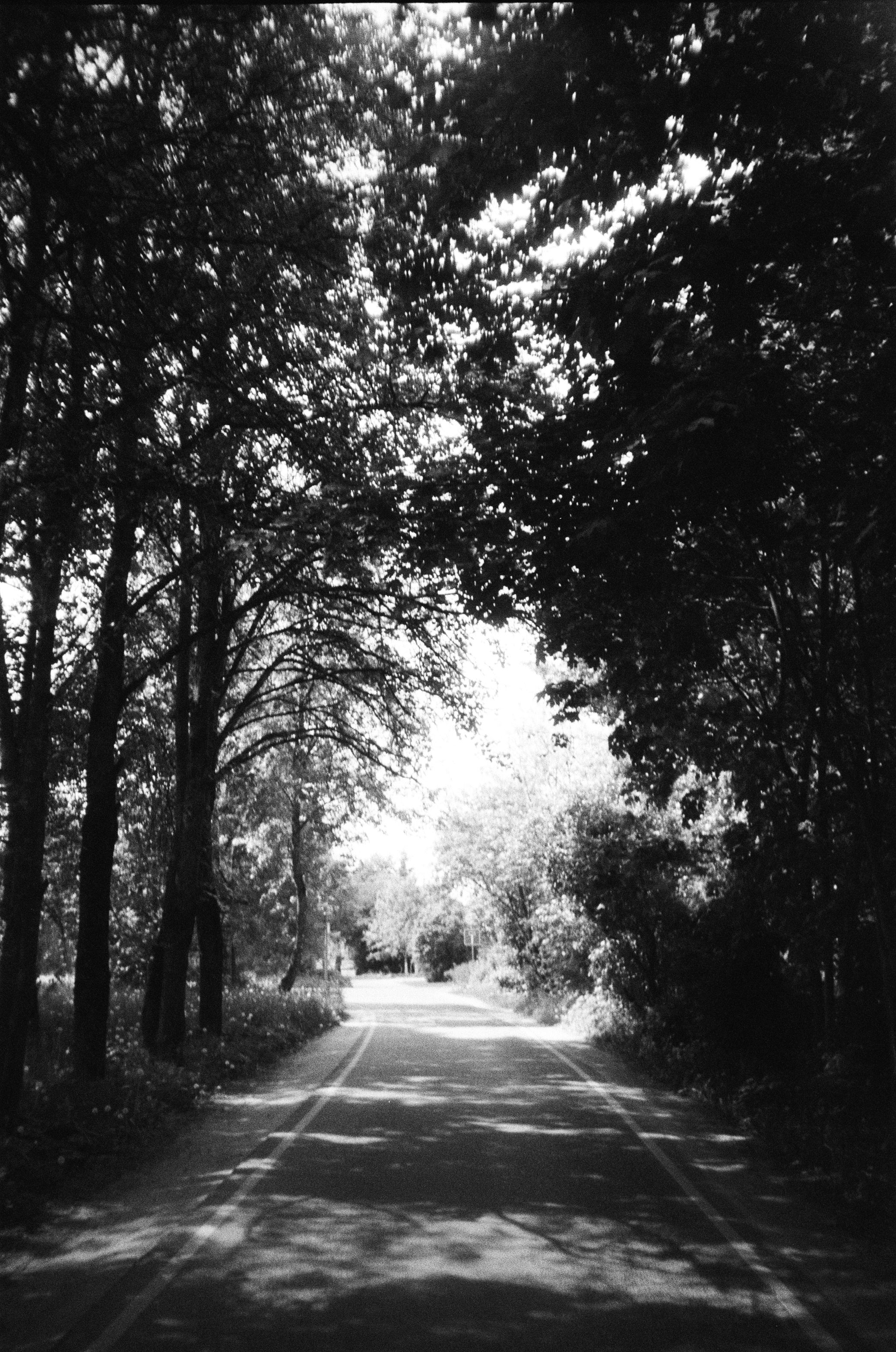 Film photograph from out of town series