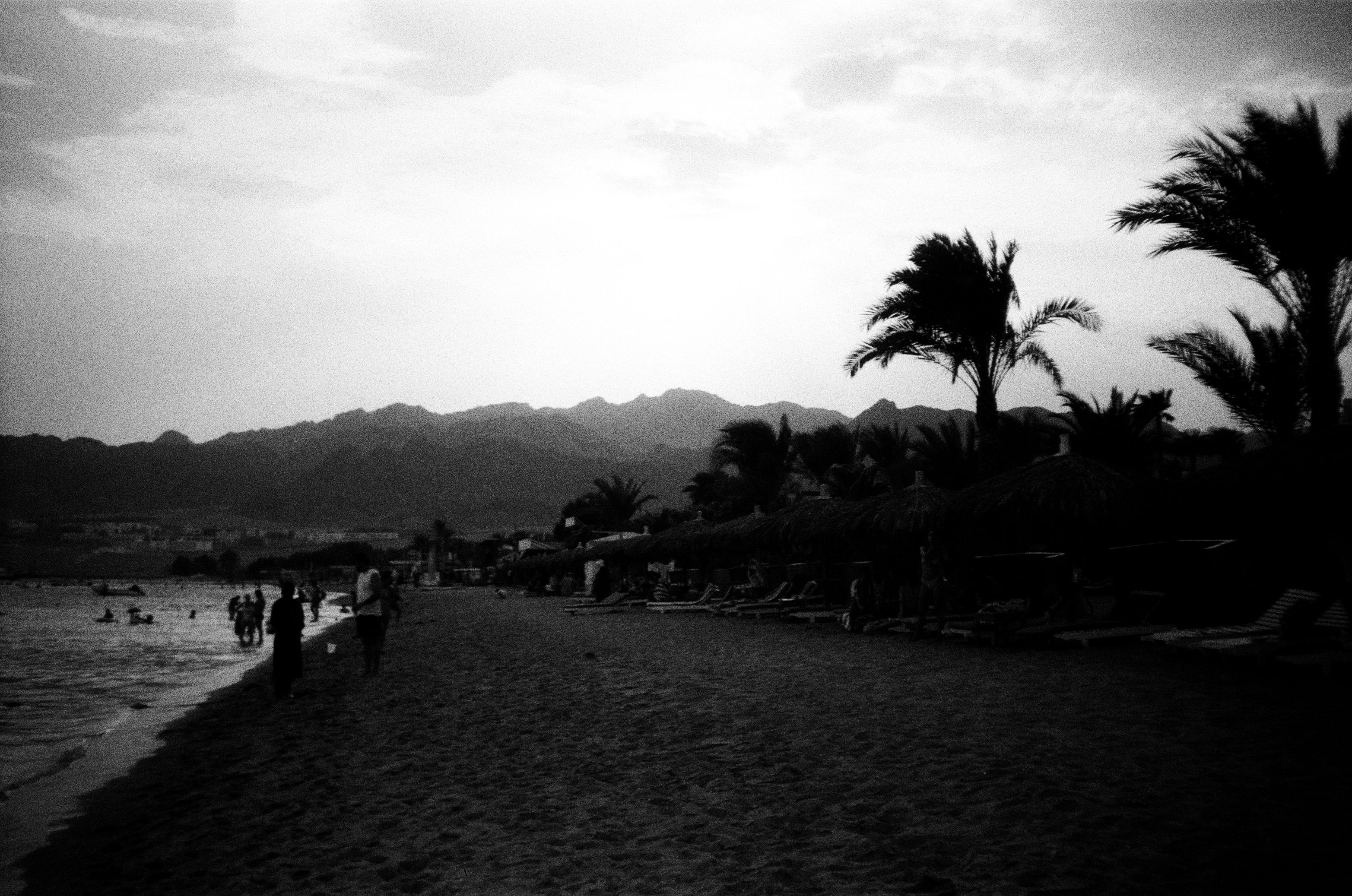 Film photograph from hazy days series