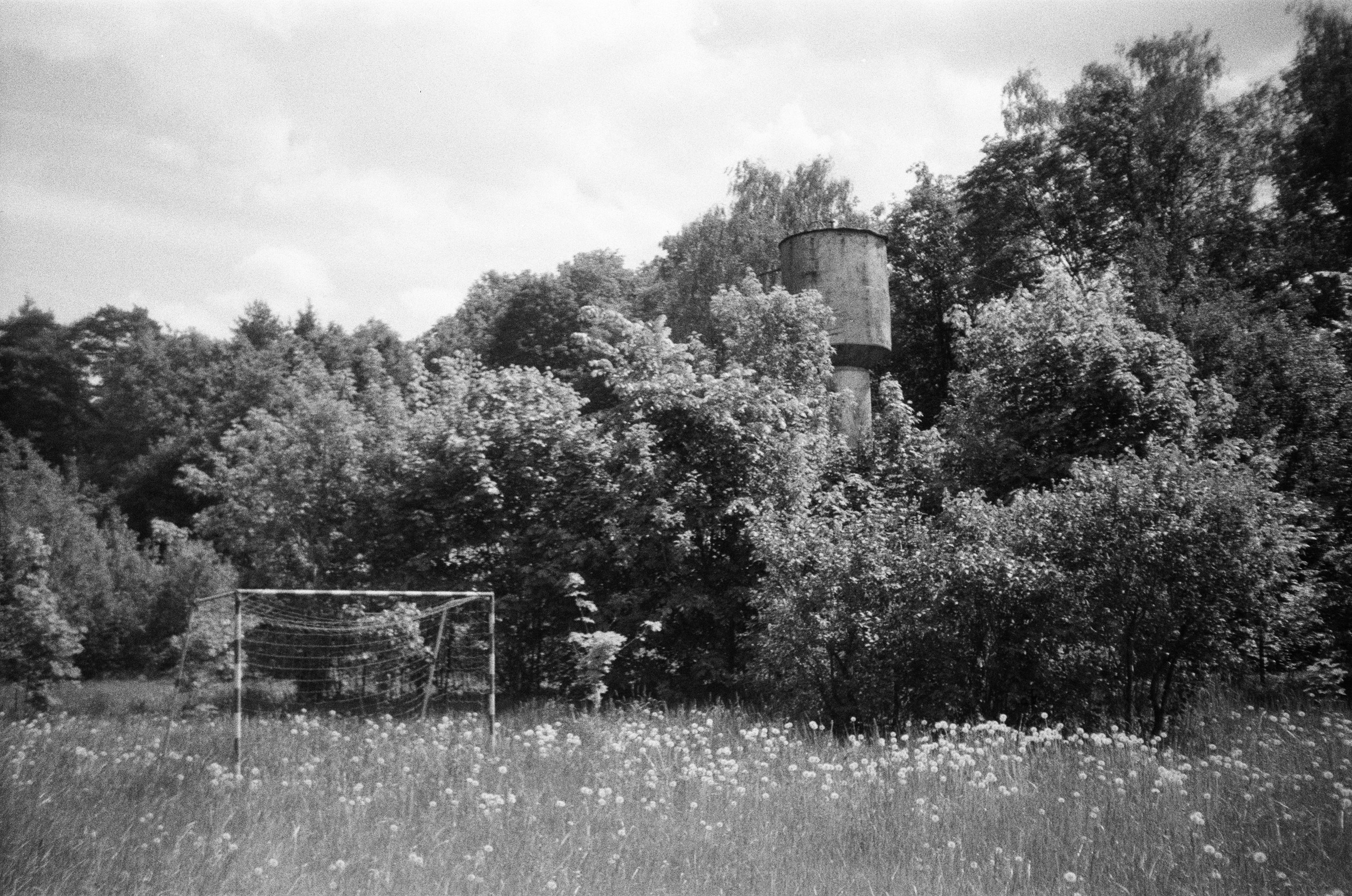 Film photograph from out of town series