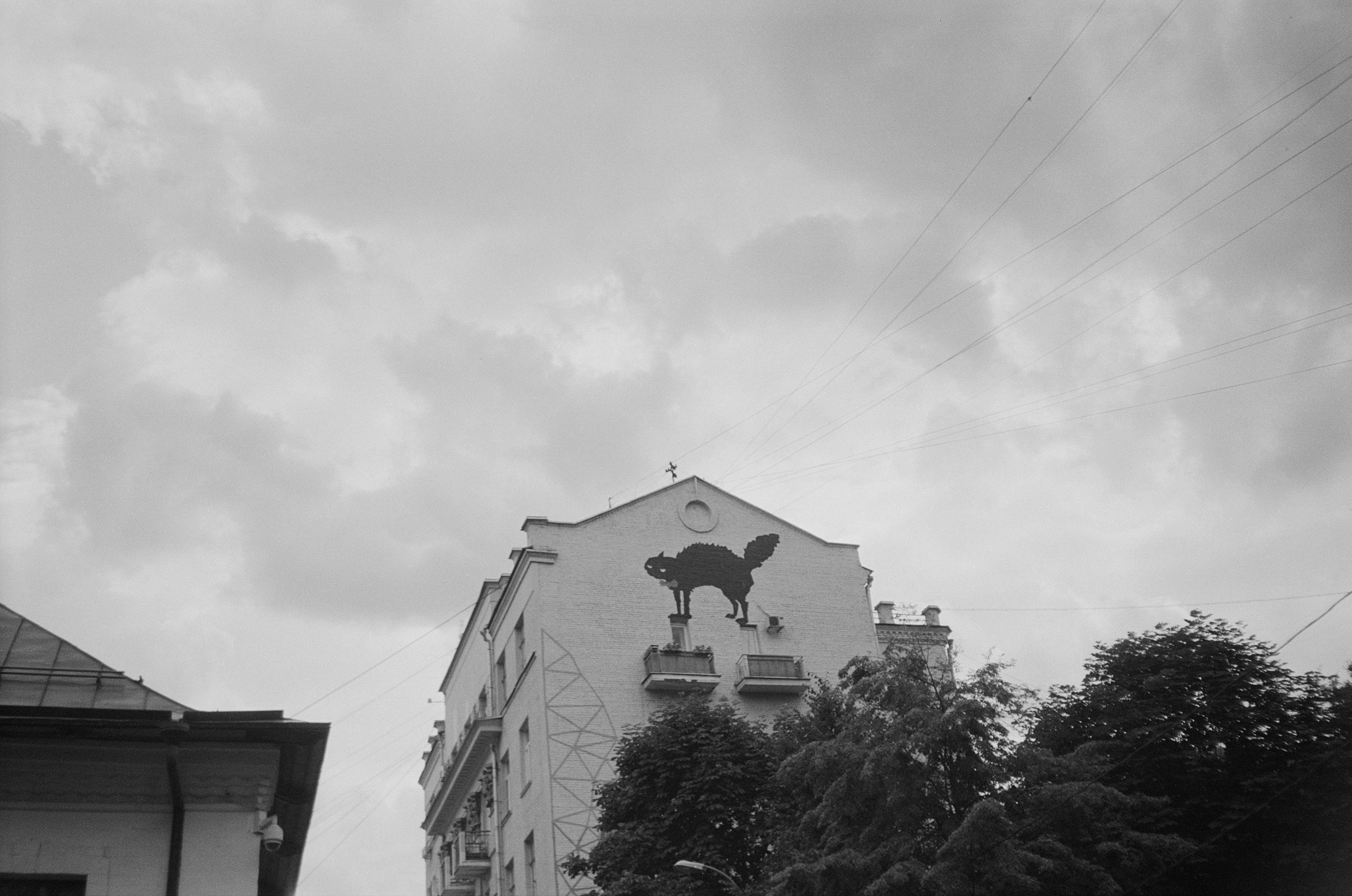 Film photograph from the city, alone series