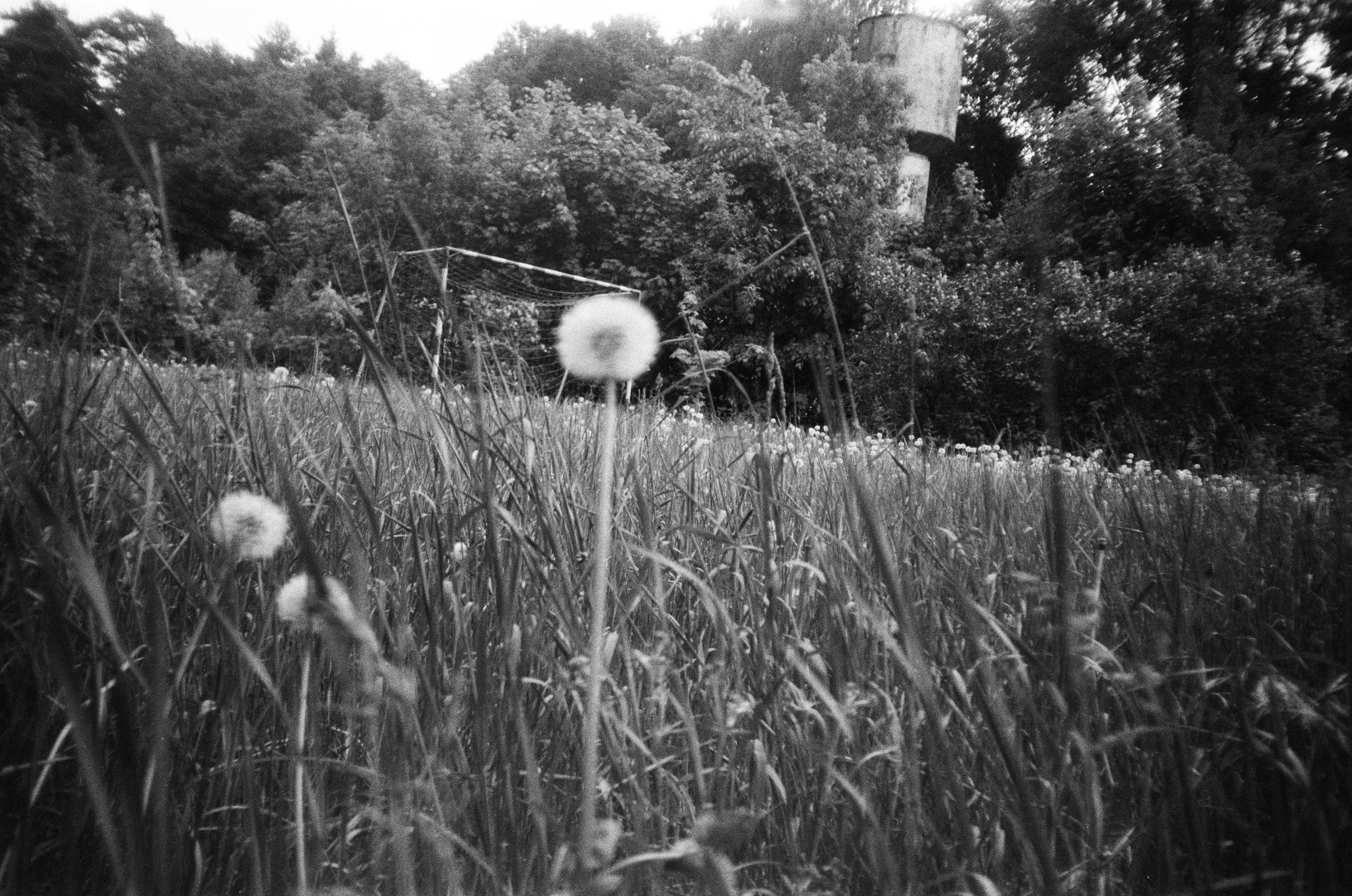 Film photograph from out of town series