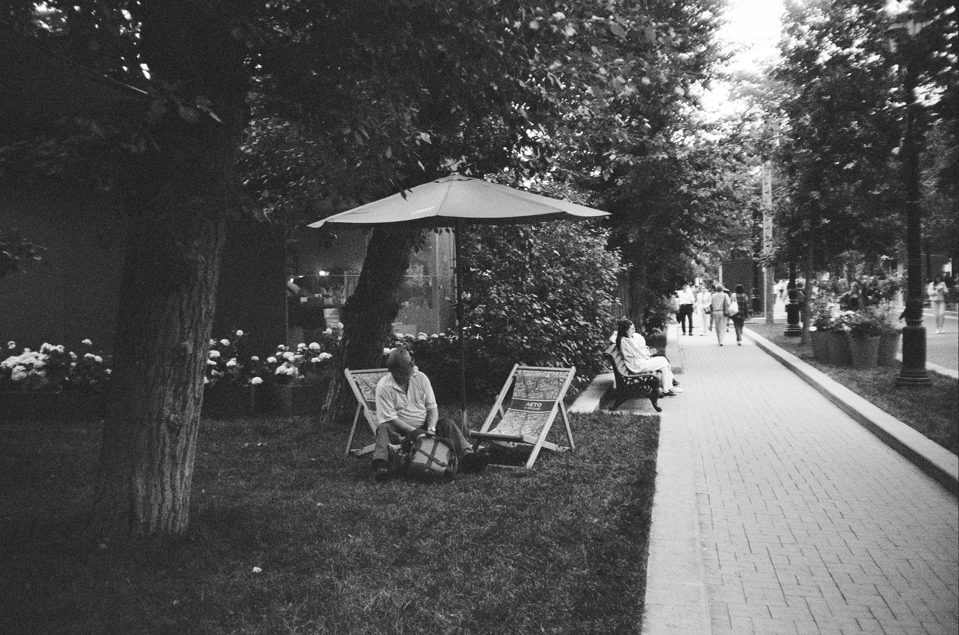 Film photograph from a moscow summer series