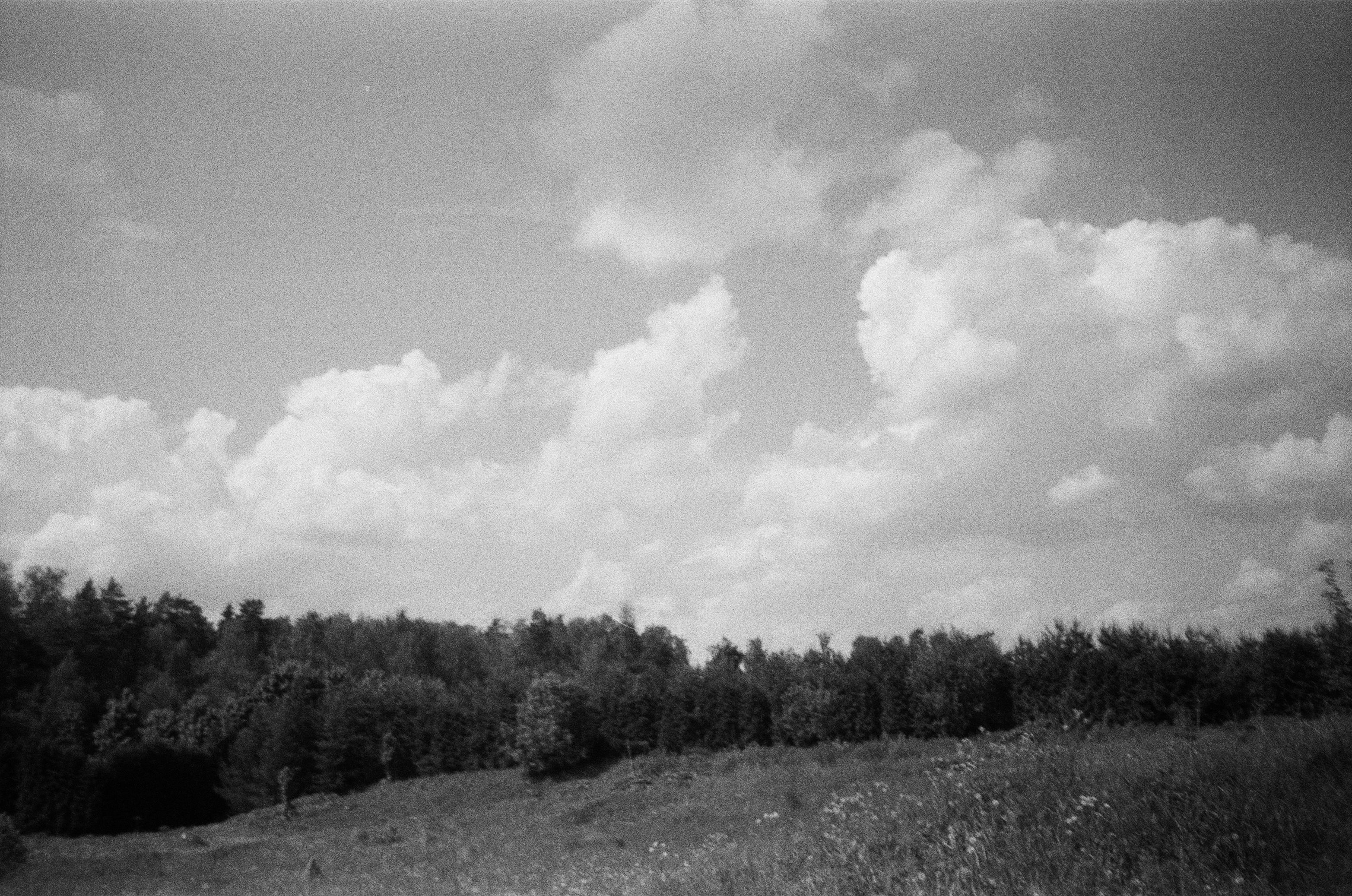 Film photograph from out of town series