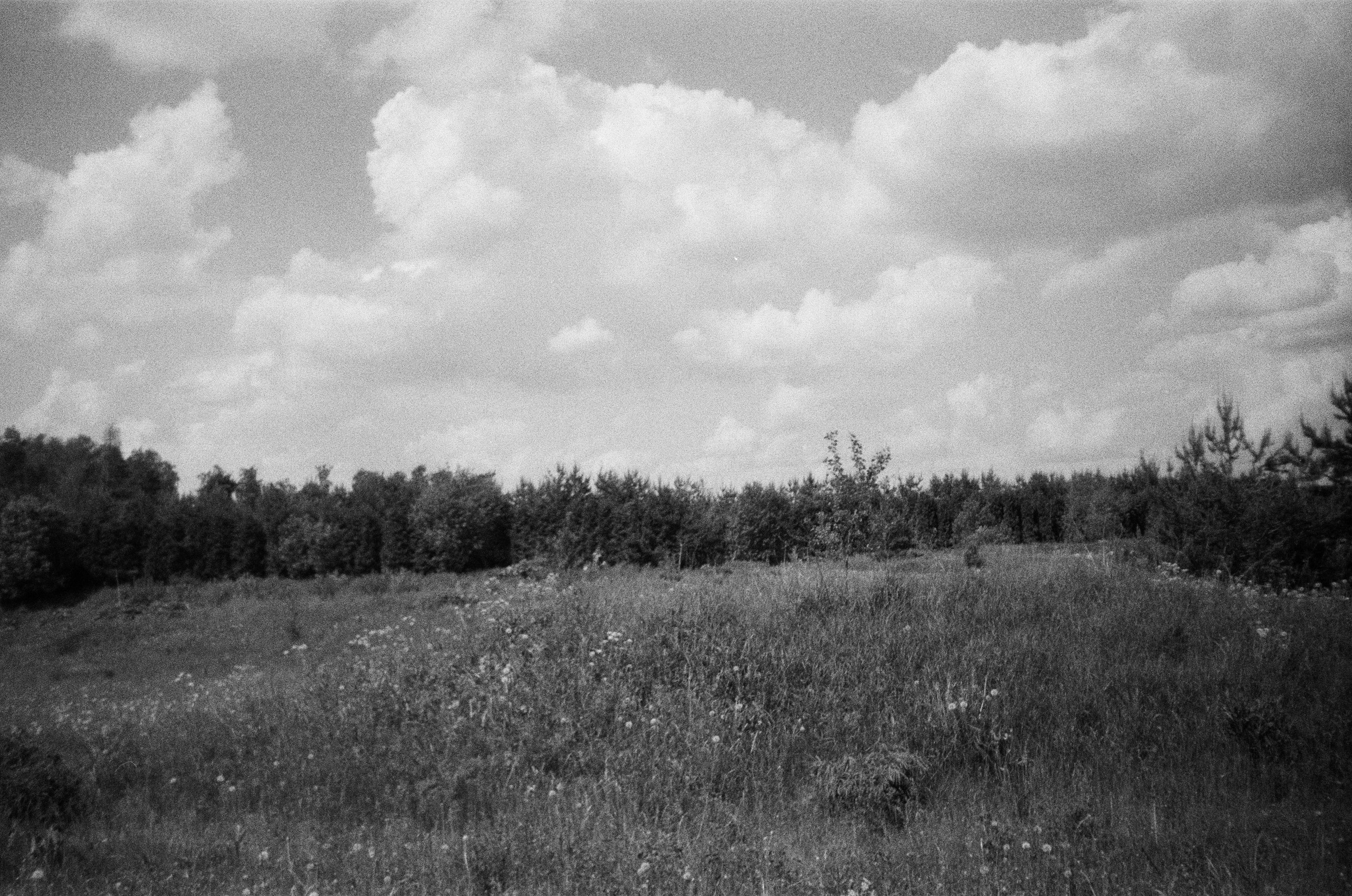 Film photograph from out of town series