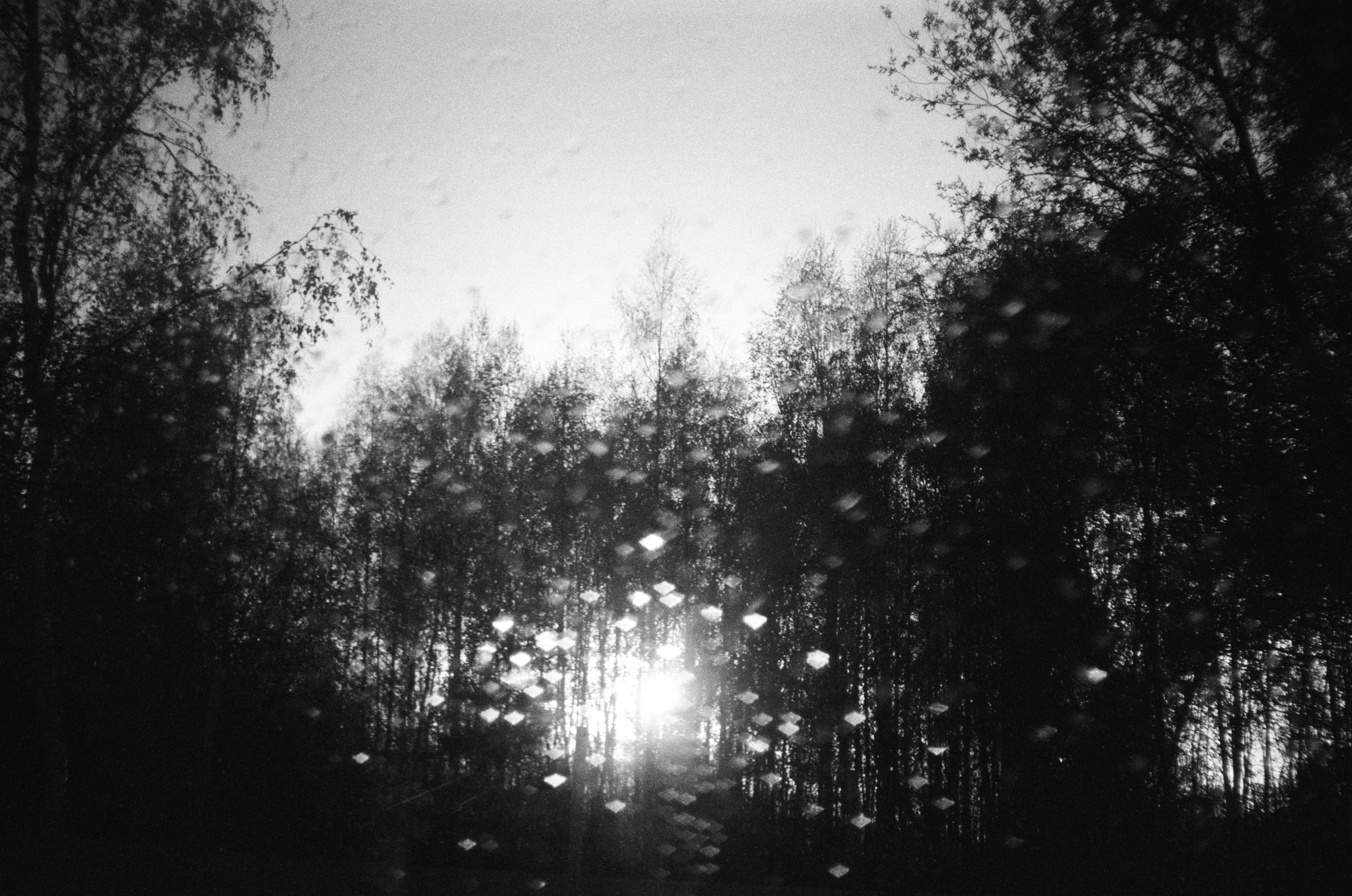 Film photograph from out of town series