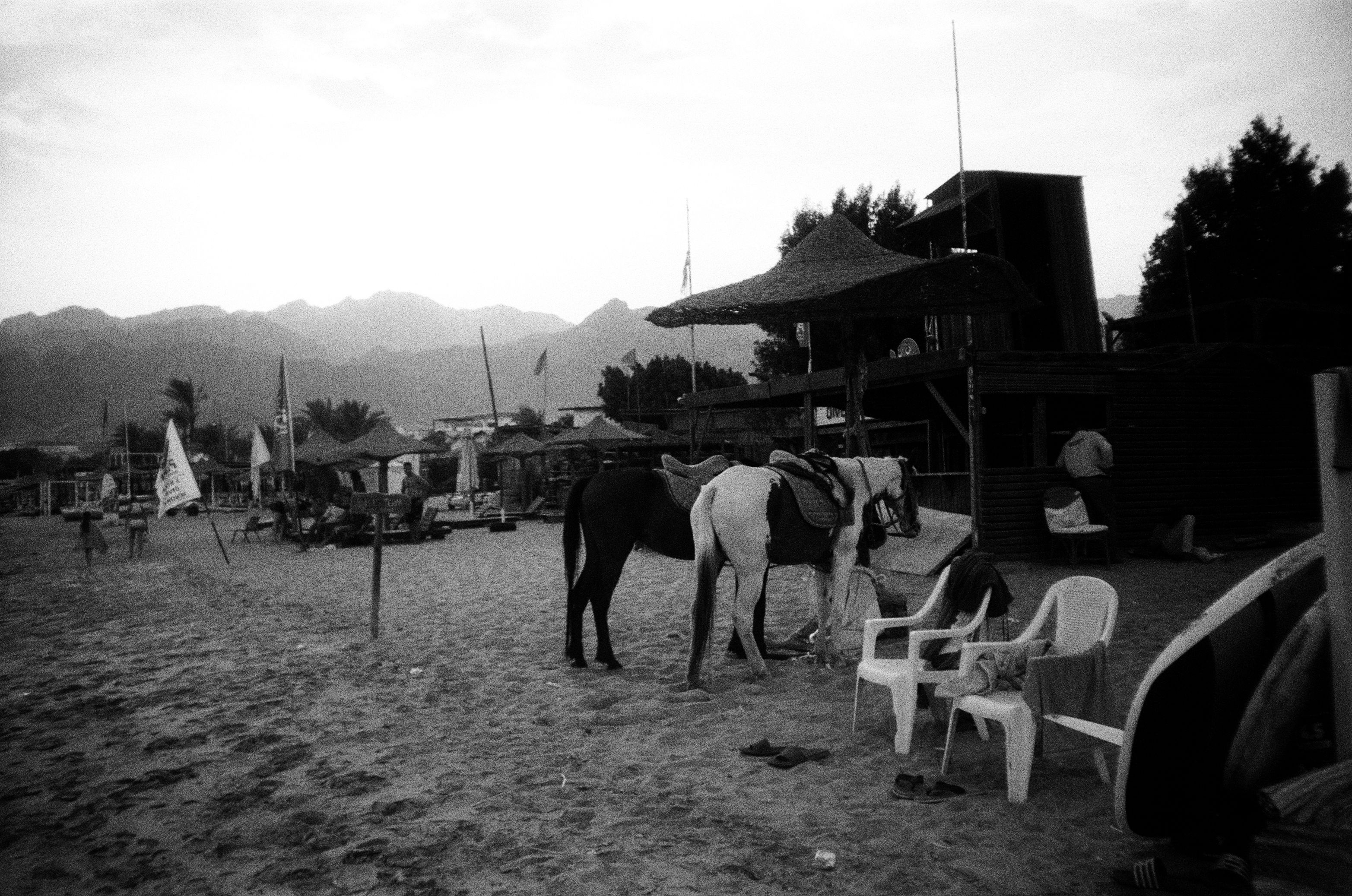 Film photograph from hazy days series