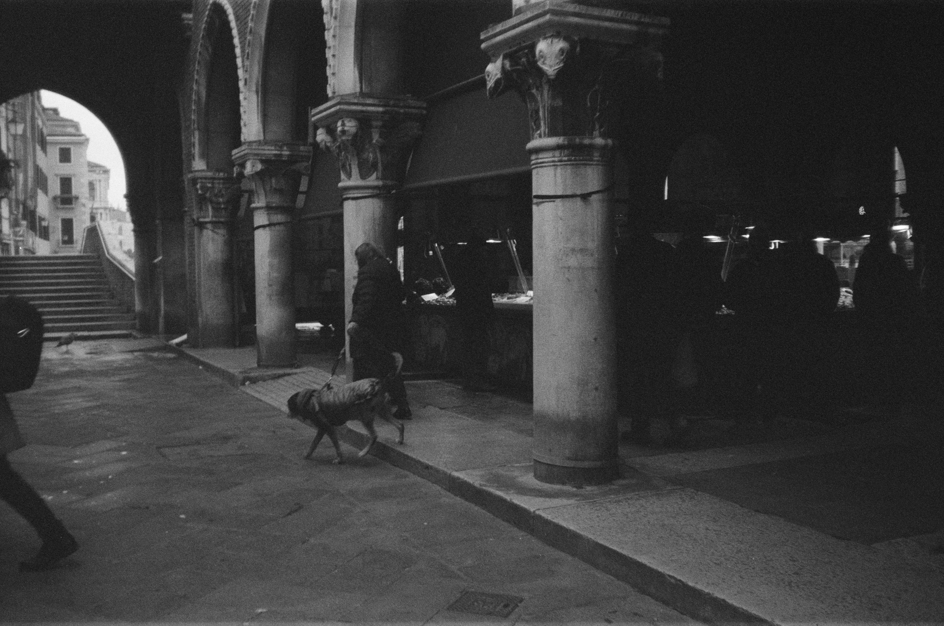 Film photograph from venetians series