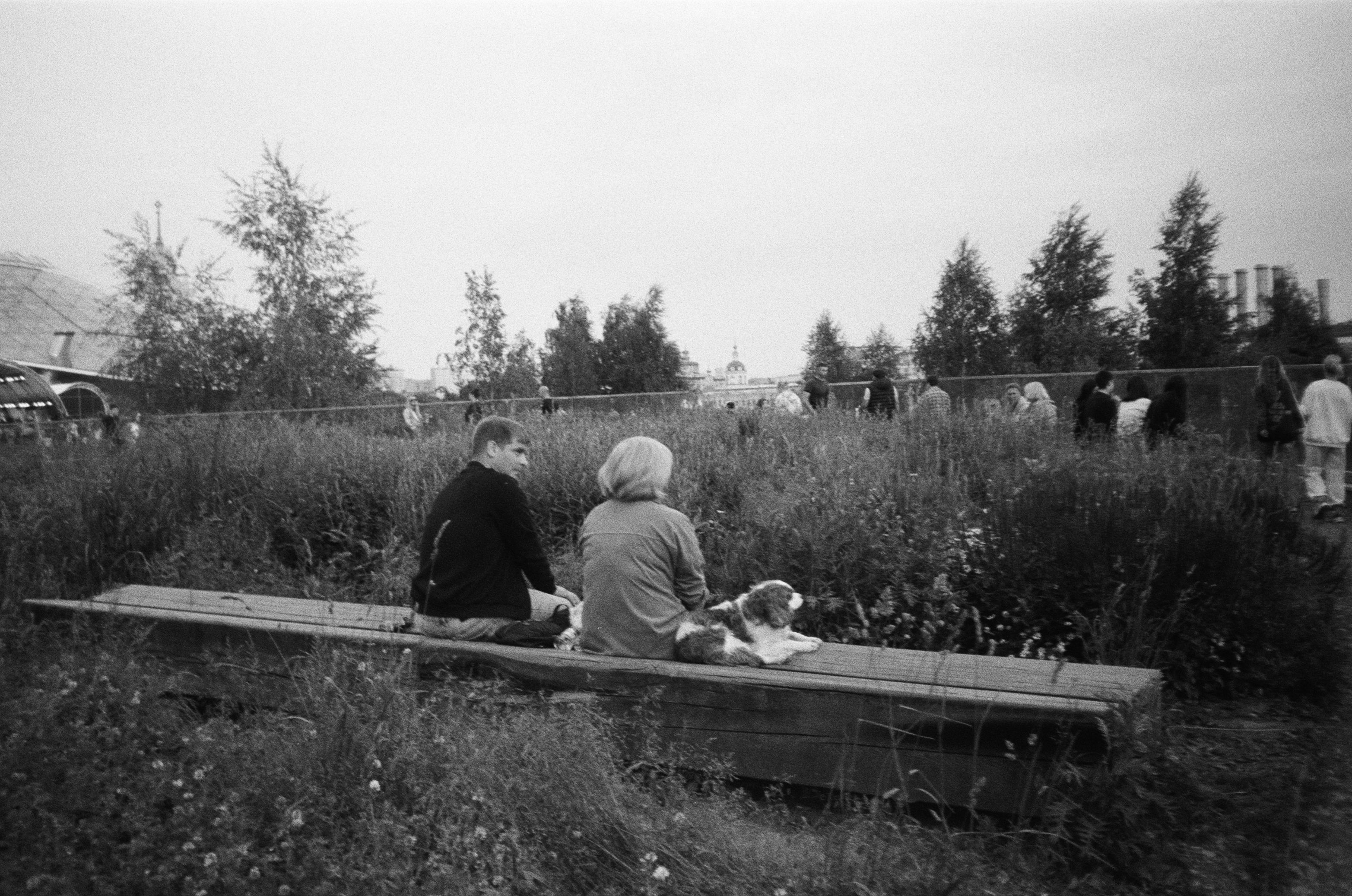 Film photograph from a moscow summer series