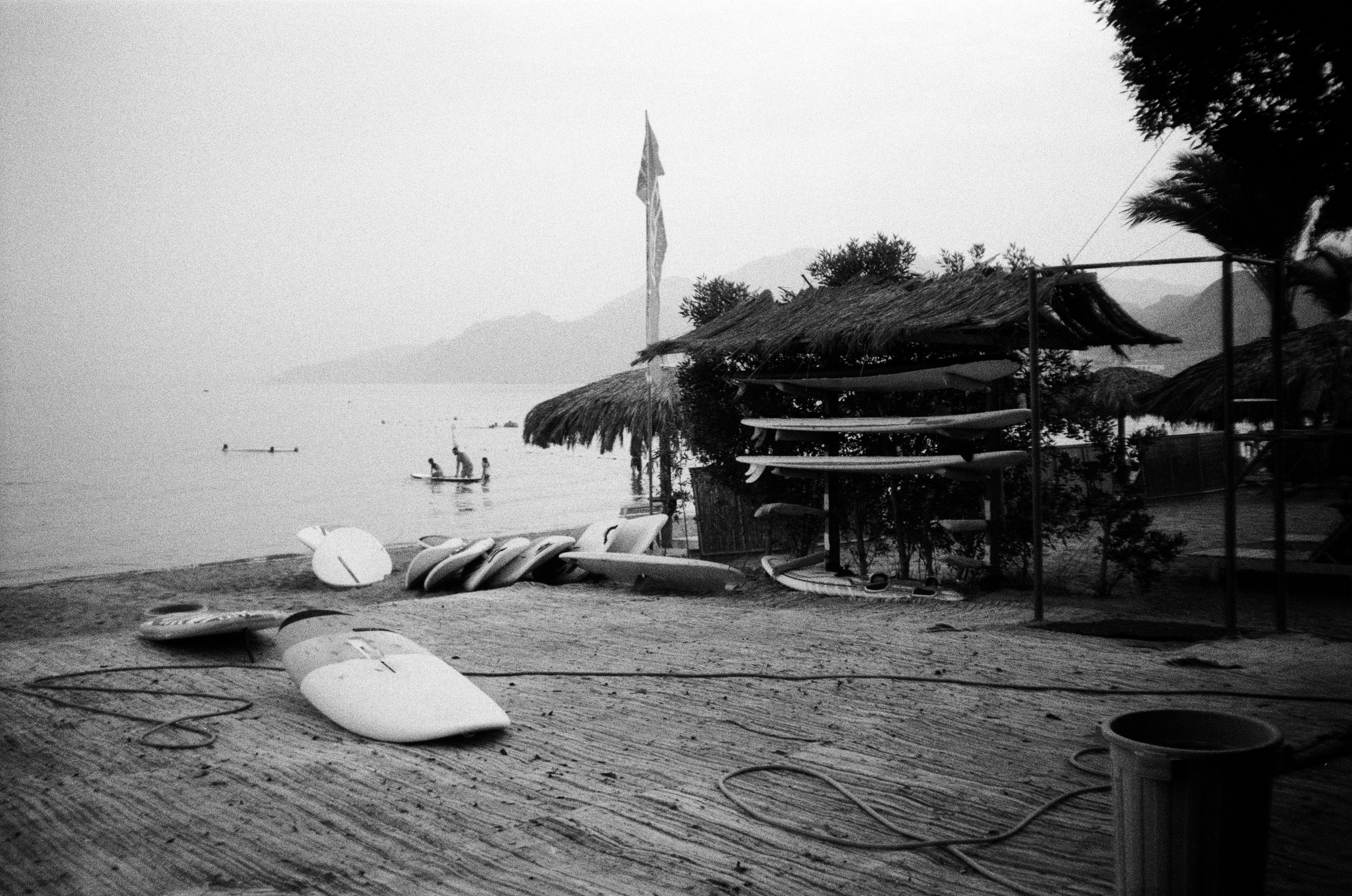 Film photograph from hazy days series