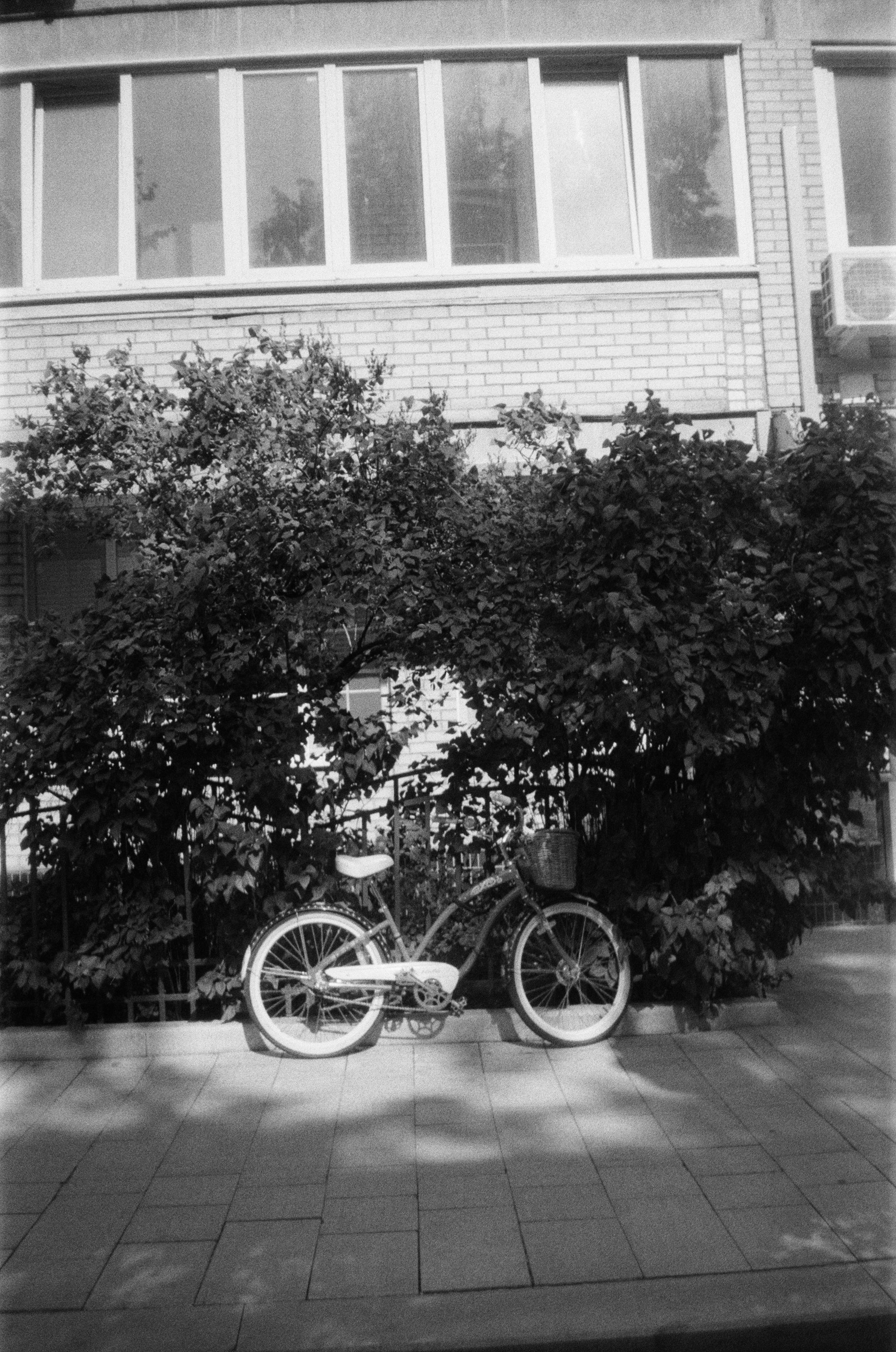 Film photograph from in the mood for love series