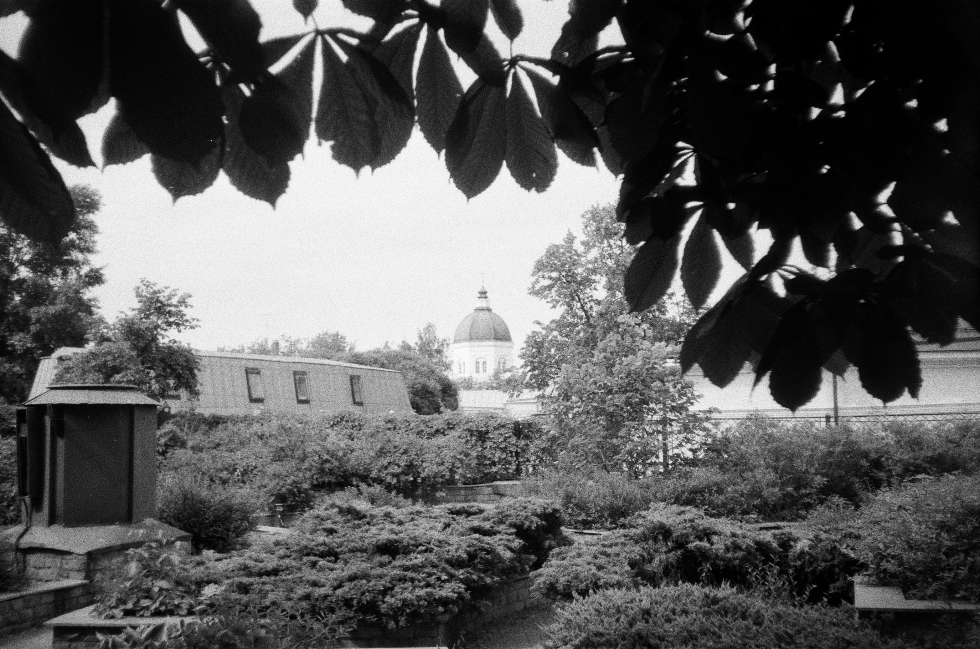 Film photograph from the city, alone series