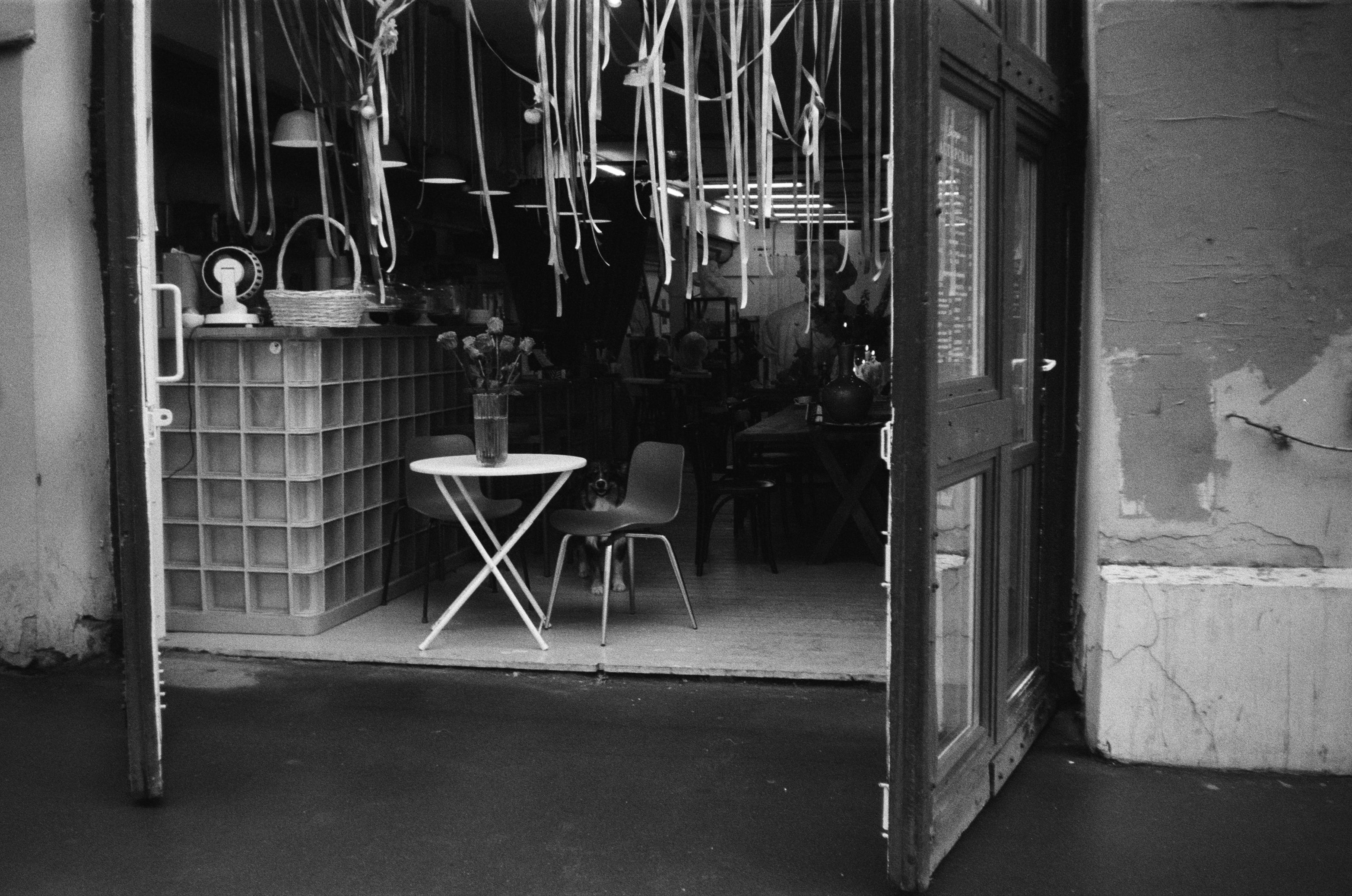 Film photograph from at the table series