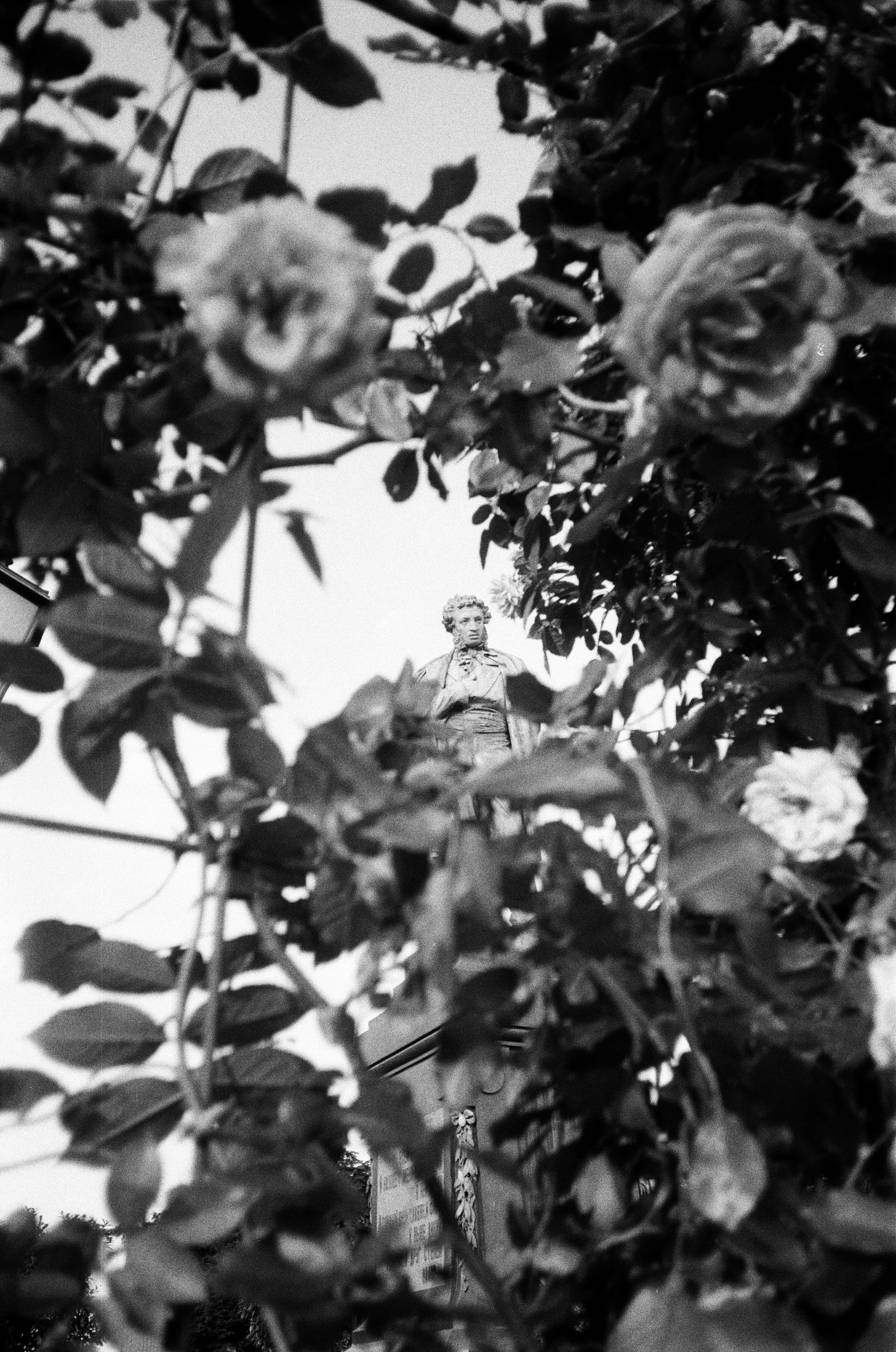 Film photograph from in the mood for love series